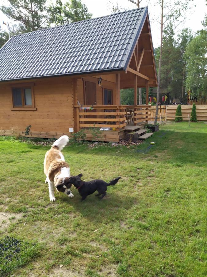 Lesne Runo *