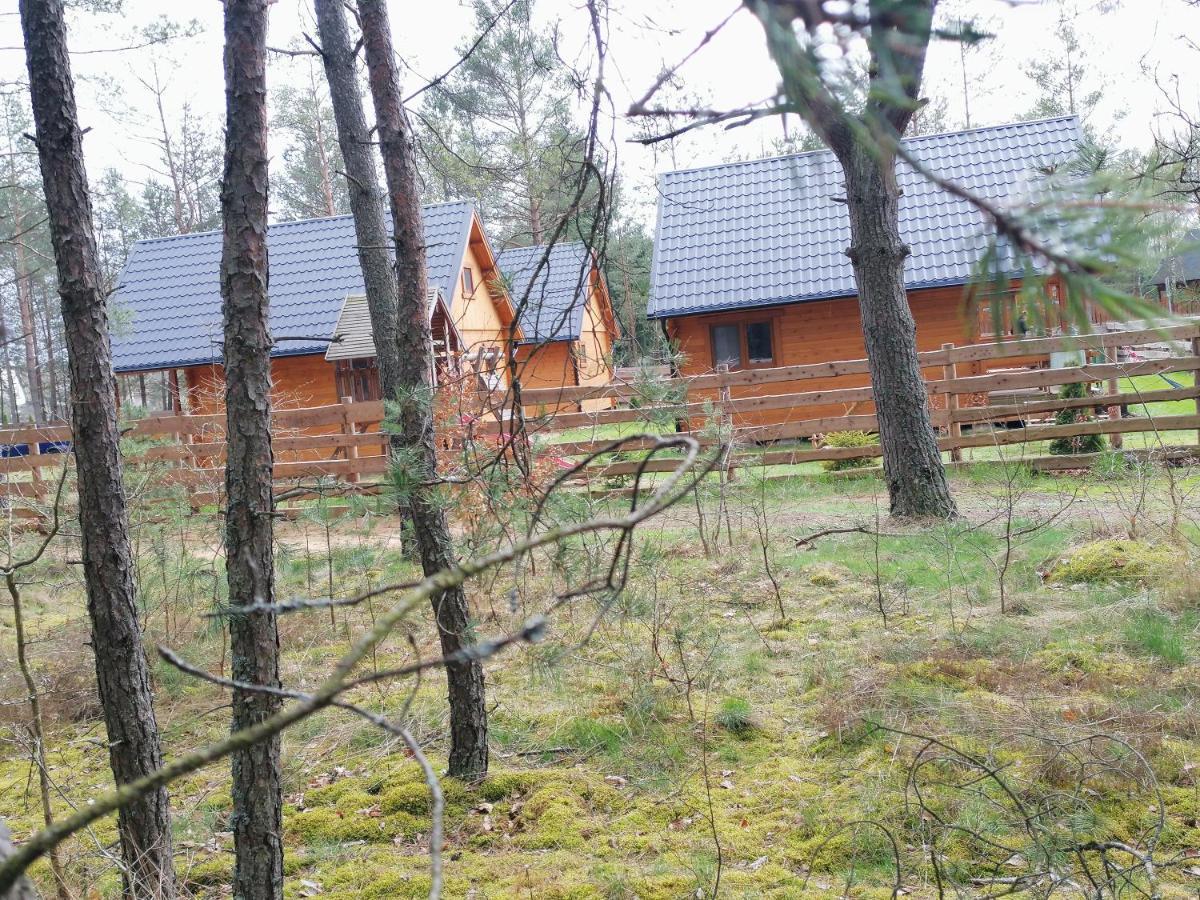 Lesne Runo Holiday home Borsk