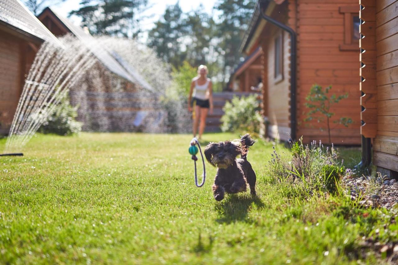 Lesne Runo Holiday home *
