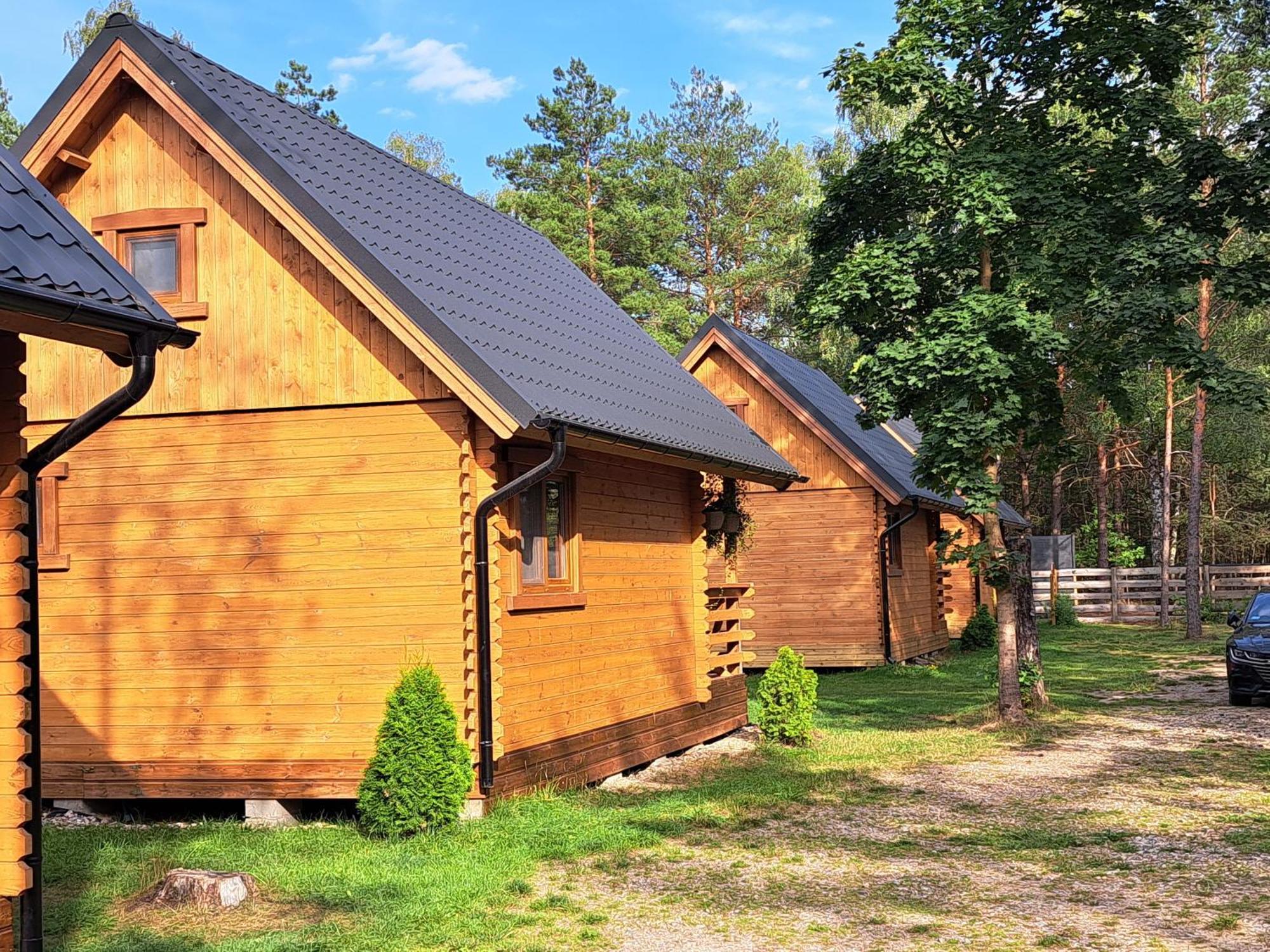 Lesne Runo Holiday home Borsk